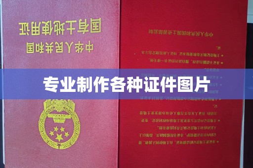 双流专业制作各种证件图片