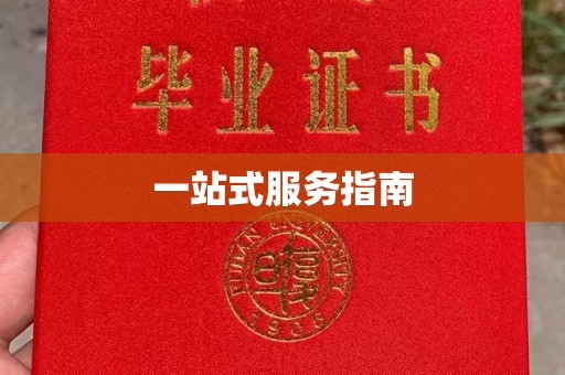 双流一站式服务指南