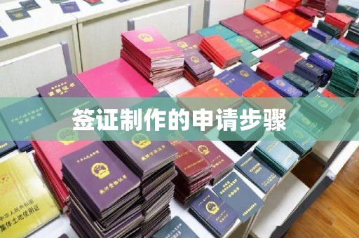 双流签证制作的申请步骤