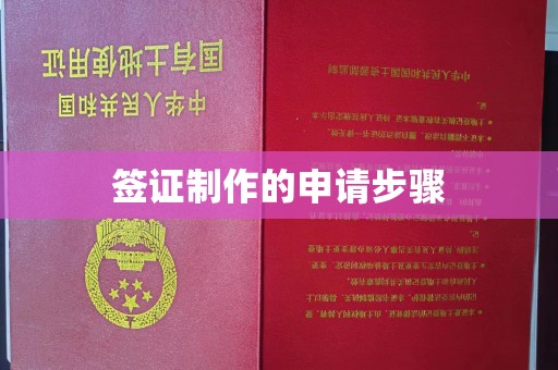 双流签证制作的申请步骤