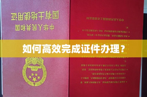 双流如何高效完成证件办理？