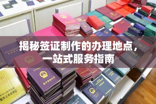 双流揭秘签证制作的办理地点，一站式服务指南