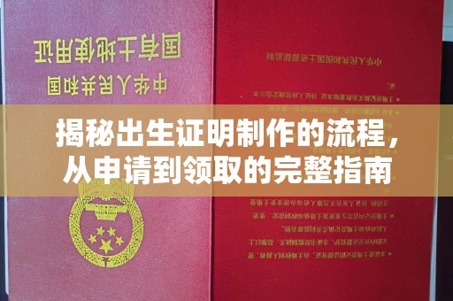 双流揭秘出生证明制作的流程，从申请到领取的完整指南