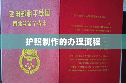 双流护照制作的办理流程